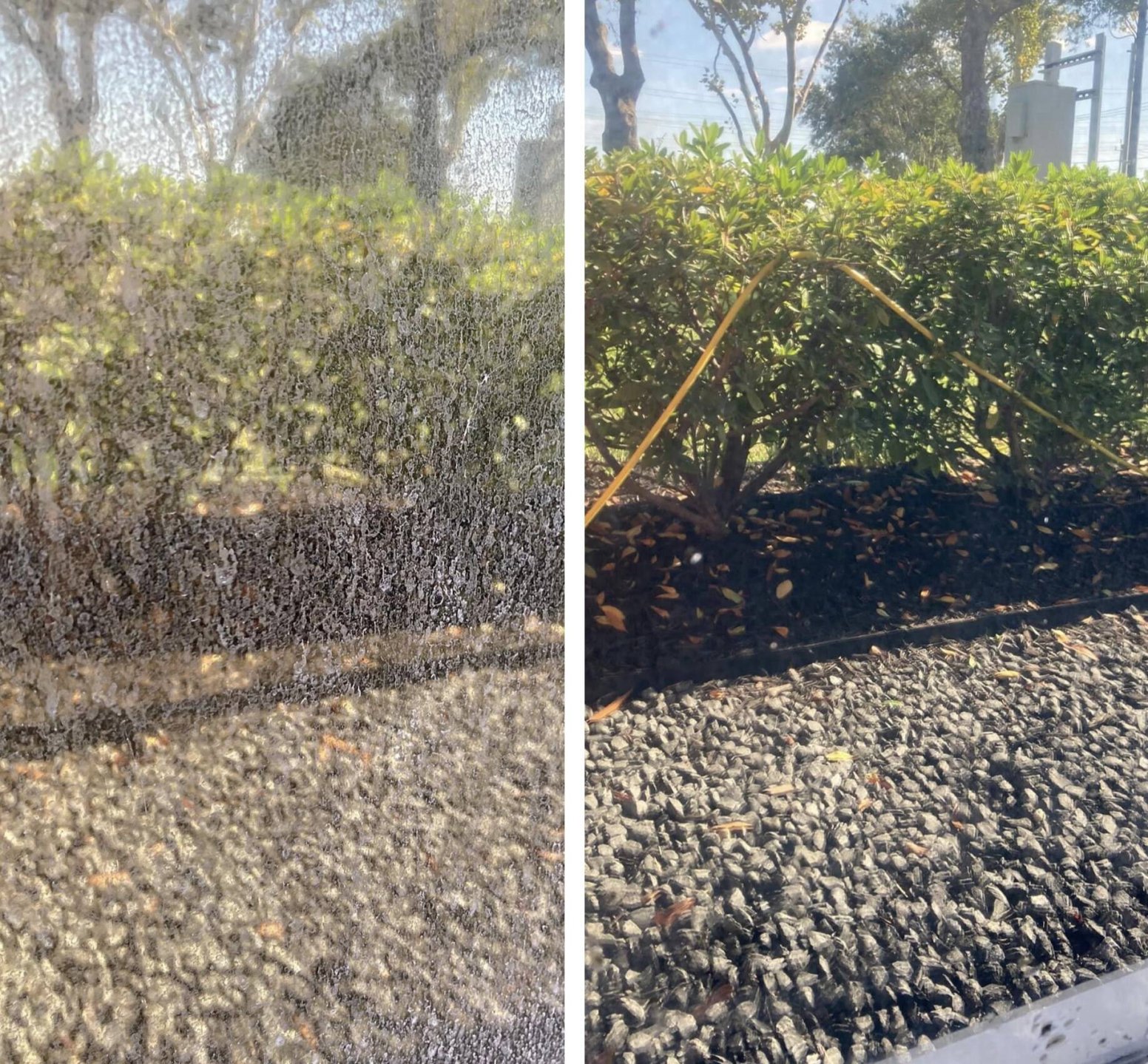 b & a